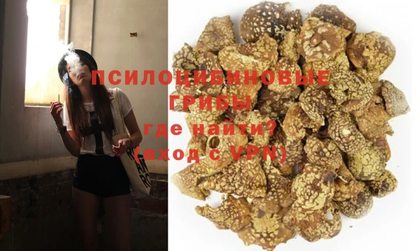 COCAINE Богородицк
