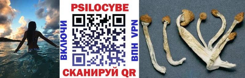 Галлюциногенные грибы мухоморы  Белый 